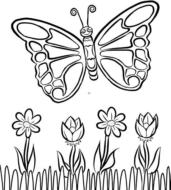 Detail Gambar Bunga Dan Kupu Kupu Untuk Diwarnai Nomer 17