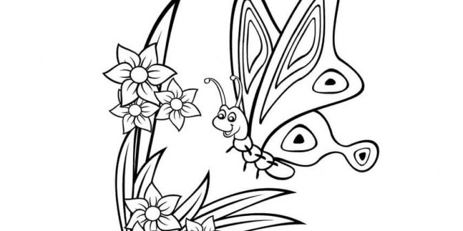 Detail Gambar Bunga Dan Kupu Kupu Untuk Diwarnai Nomer 30