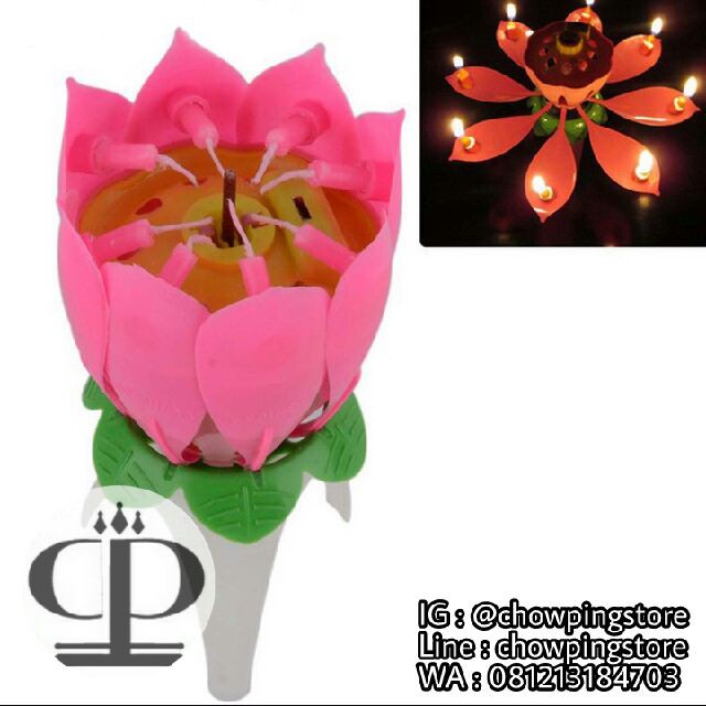 Detail Gambar Bunga Dan Lilin Nomer 55