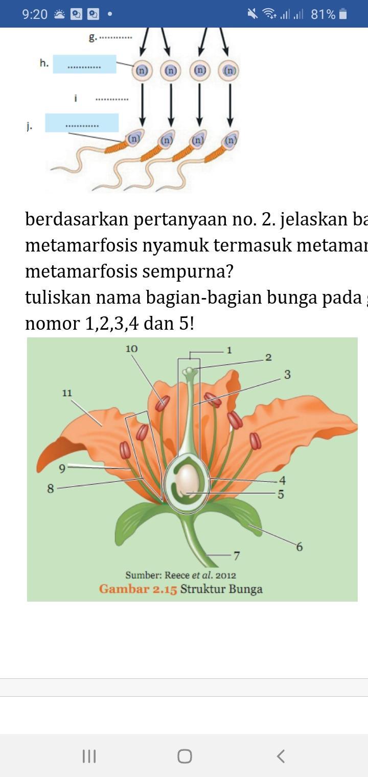 Detail Gambar Bunga Dan Nama Bagian Bagiannya Nomer 21