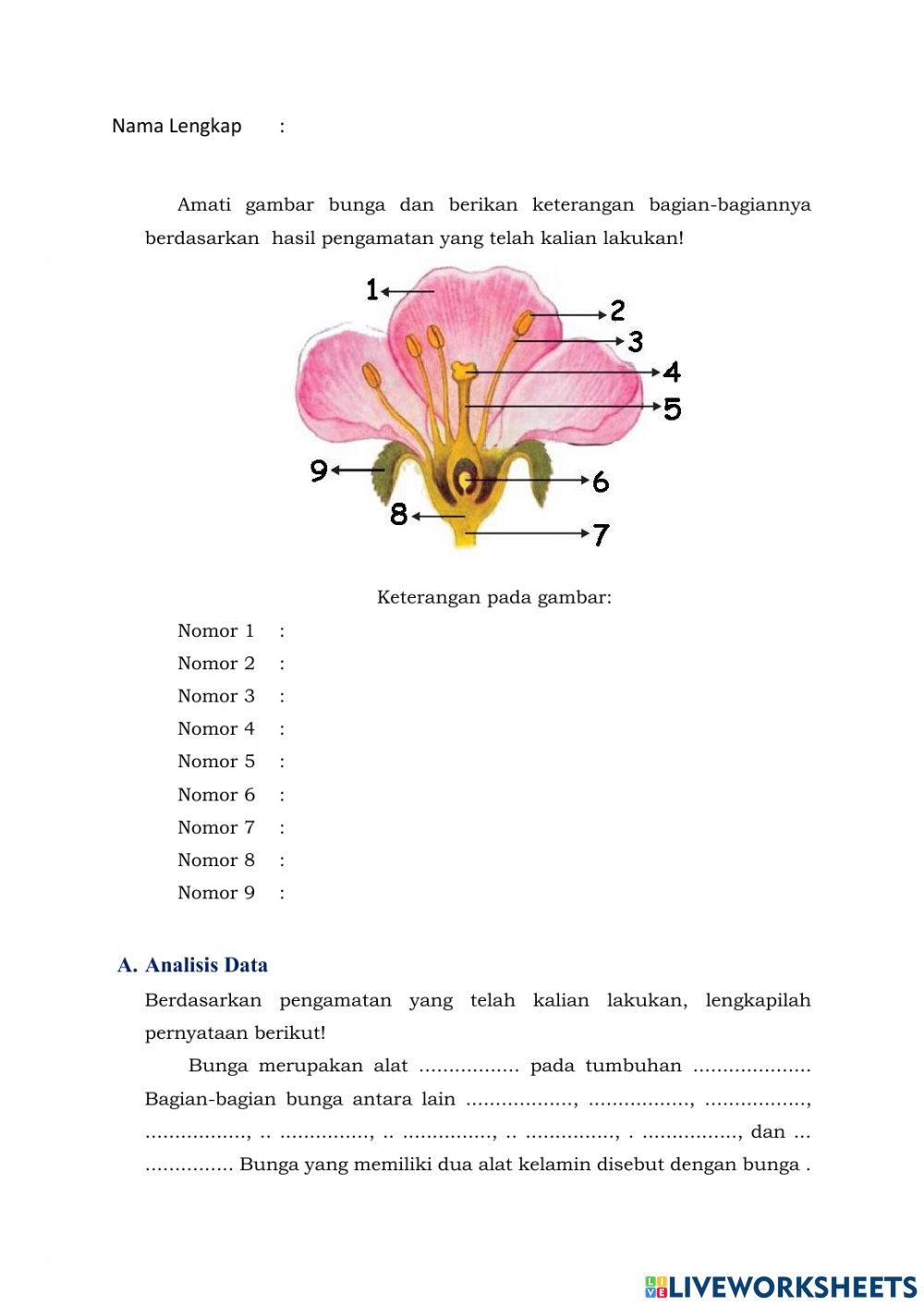 Detail Gambar Bunga Dan Nama Bagian Bagiannya Nomer 27