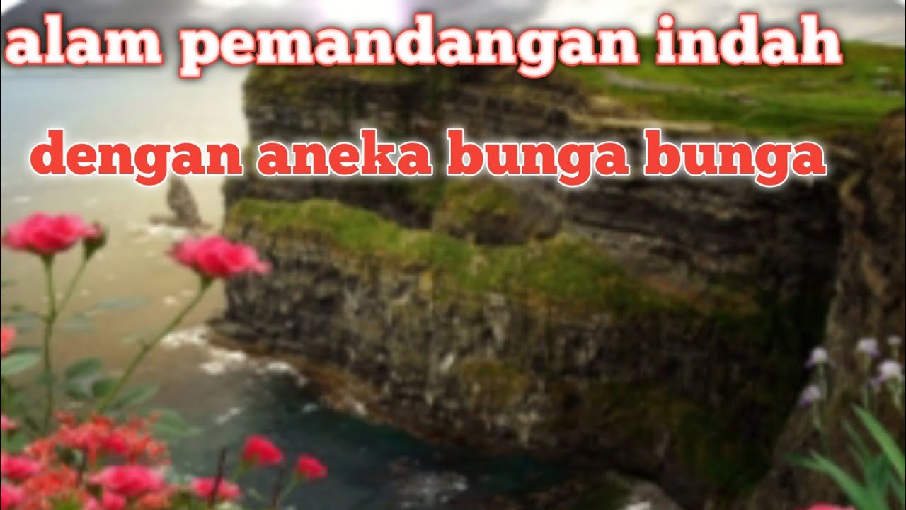 Detail Gambar Bunga Dan Pemandangan Yang Indah Nomer 49