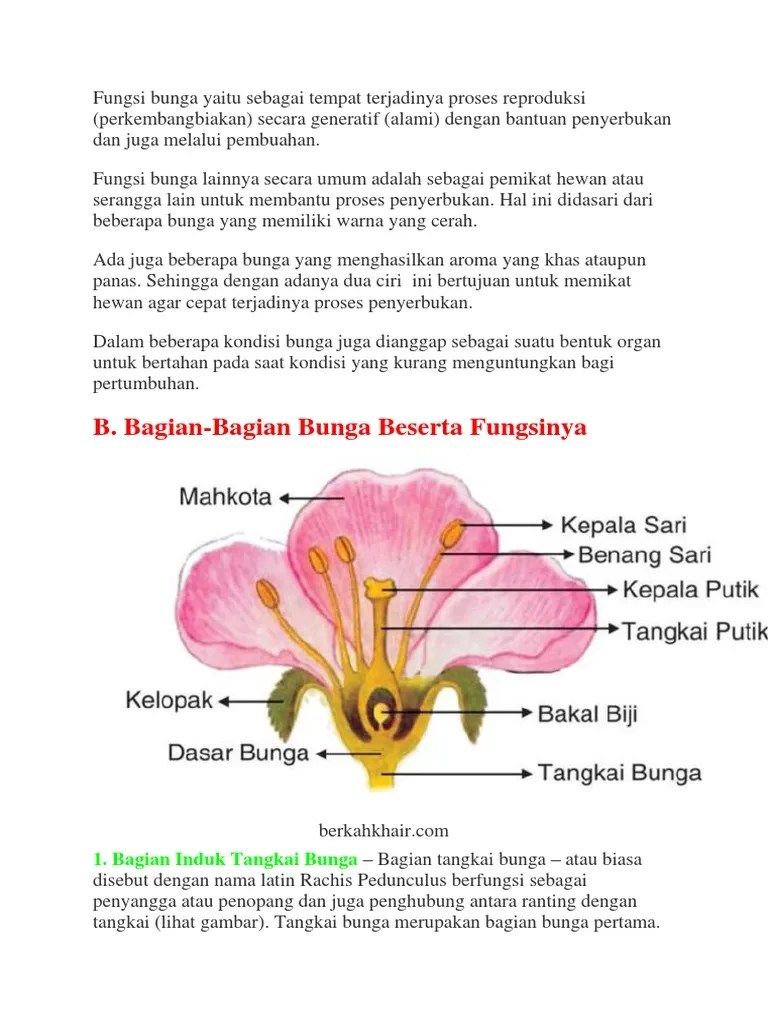 Detail Gambar Bunga Dan Penyerbukanya Nomer 7