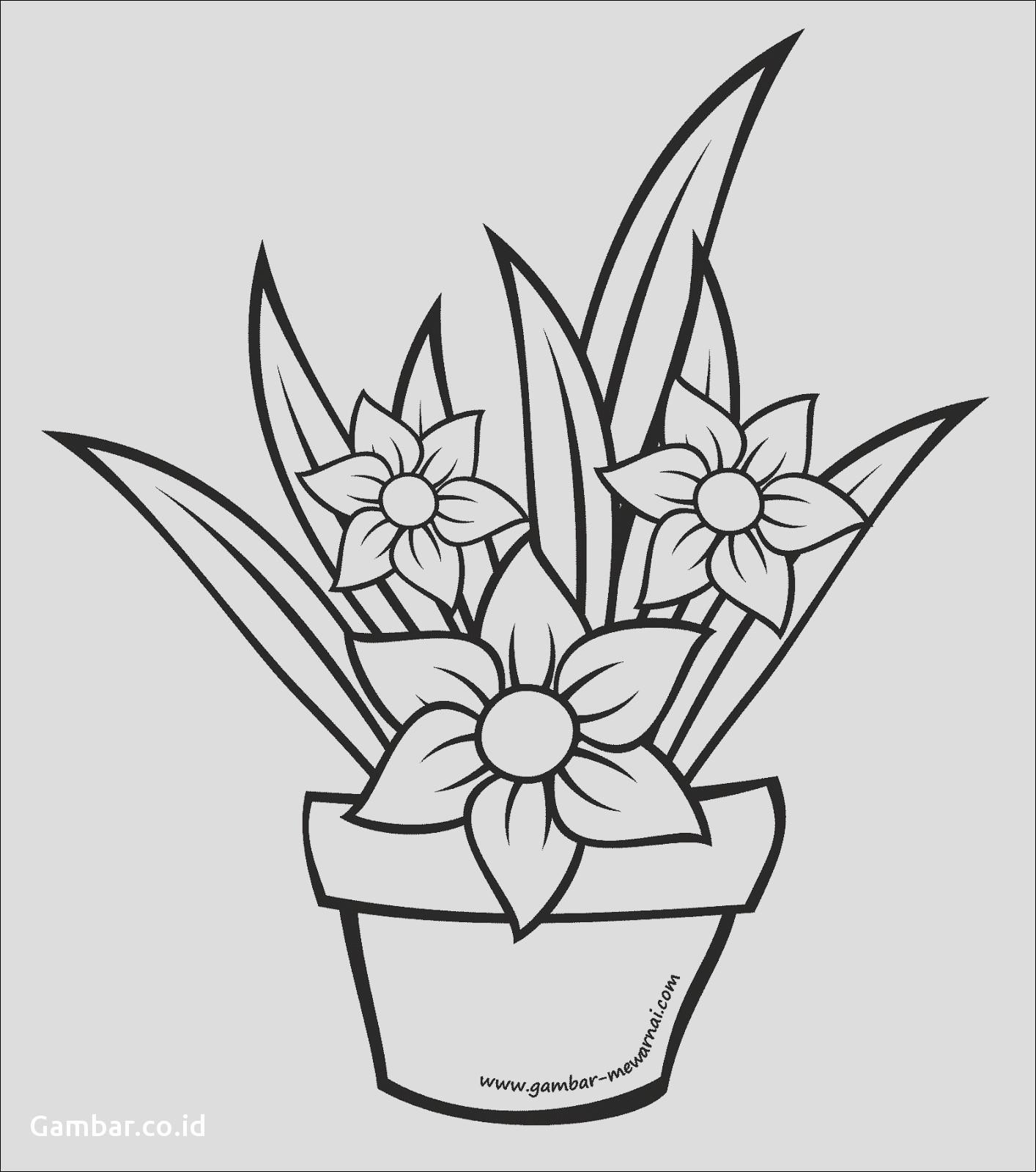 Detail Gambar Bunga Dan Potnya Nomer 15