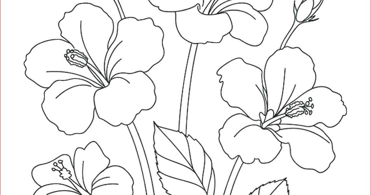Detail Gambar Bunga Dan Potnya Hitam Putih Nomer 28