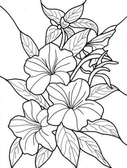 Detail Gambar Bunga Dan Potnya Hitam Putih Nomer 33