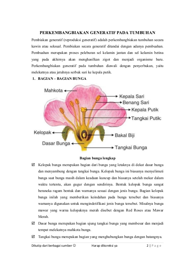 Detail Gambar Bunga Dan Proses Penyerbukannya Nomer 15