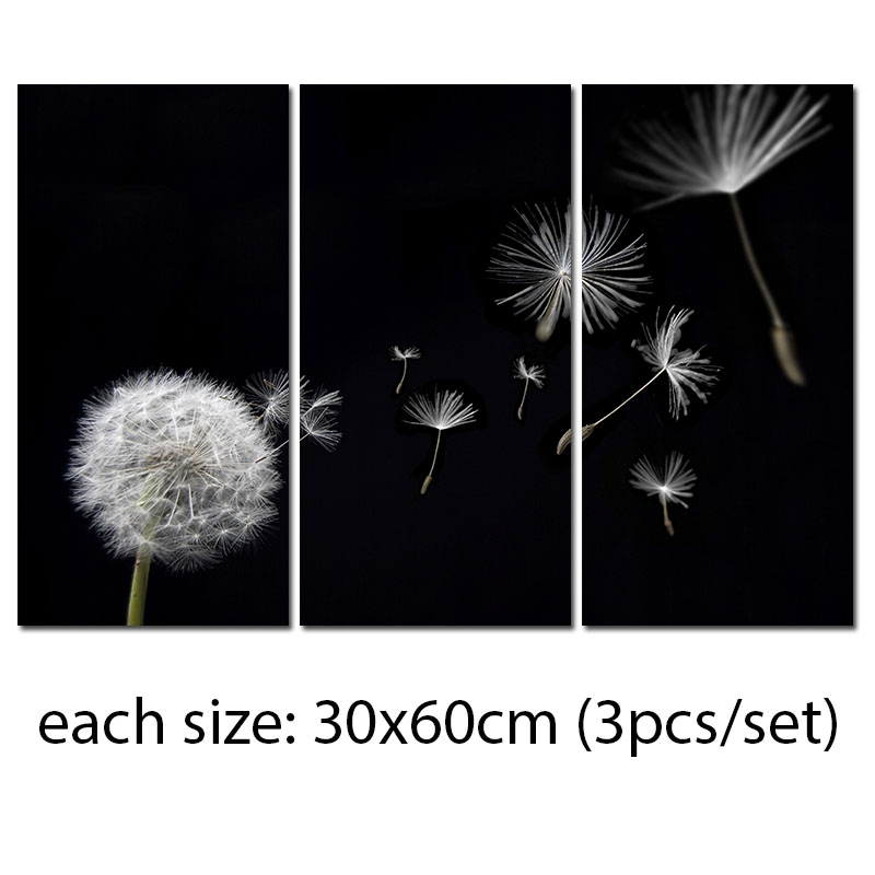 Detail Gambar Bunga Dandelion Gambar Bingkai Bunga Hitam Putih Nomer 14