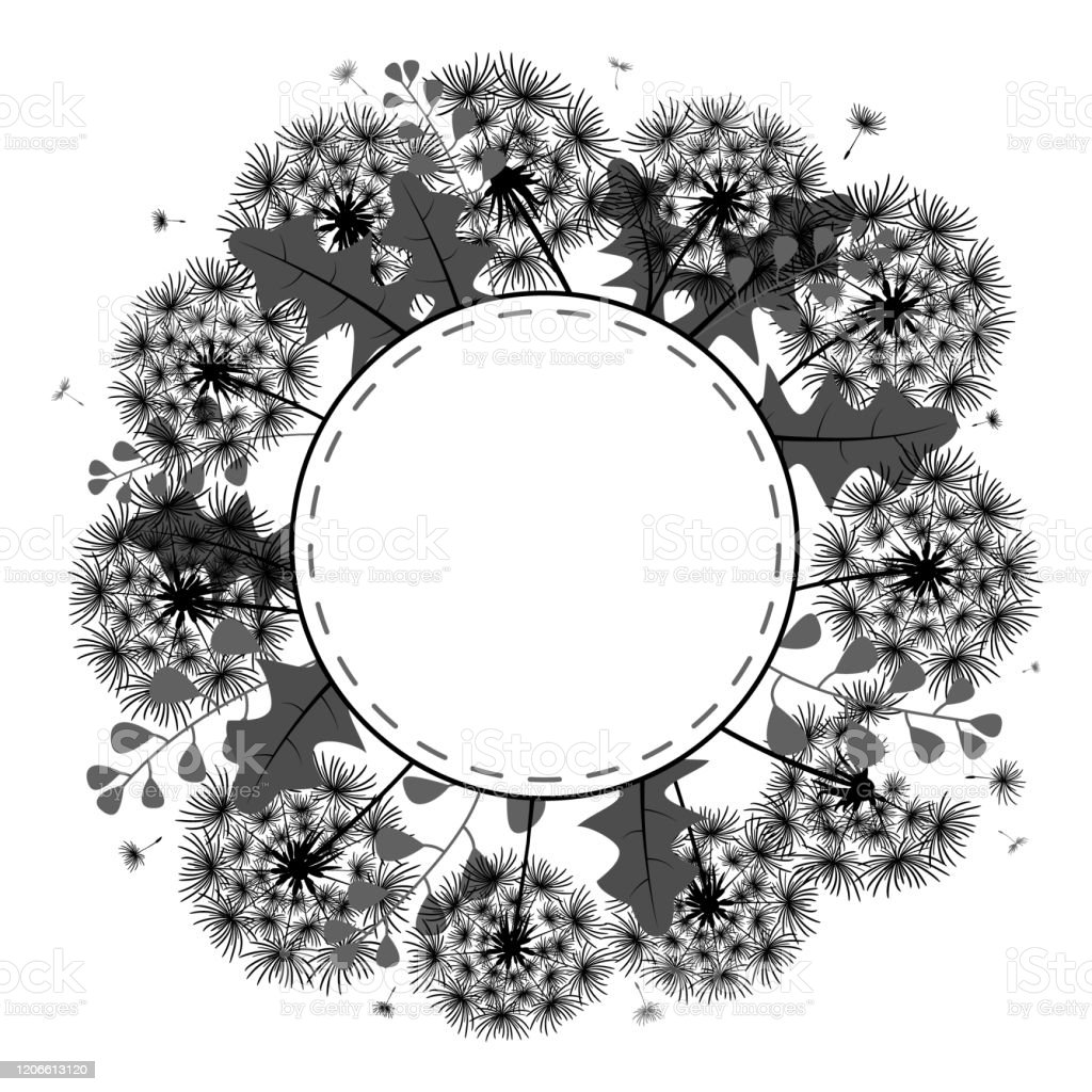 Detail Gambar Bunga Dandelion Gambar Bingkai Bunga Hitam Putih Nomer 4