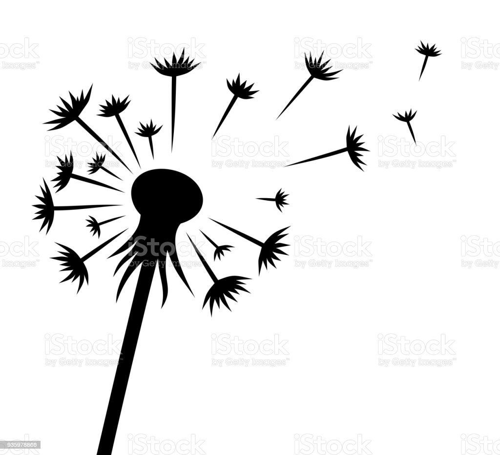 Detail Gambar Bunga Dandelion Gambar Bingkai Bunga Hitam Putih Nomer 30