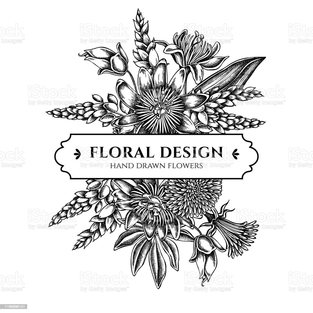Detail Gambar Bunga Dandelion Gambar Bingkai Bunga Hitam Putih Nomer 51