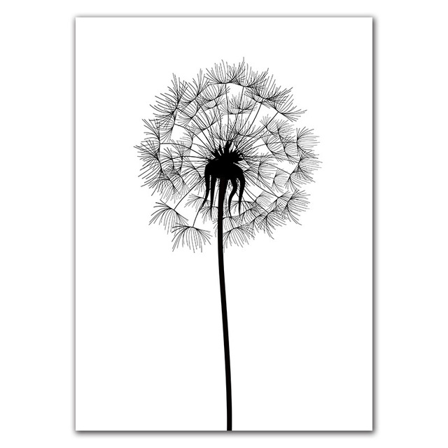 Detail Gambar Bunga Dandelion Gambar Bingkai Bunga Hitam Putih Nomer 53