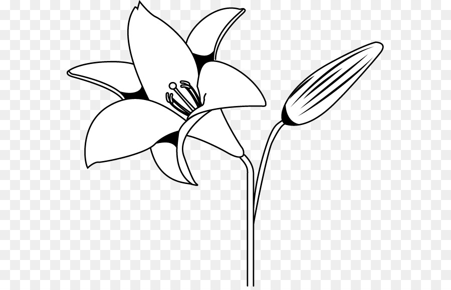 Detail Gambar Bunga Dandelion Gambar Bunga Tulip Hitam Putih Nomer 5