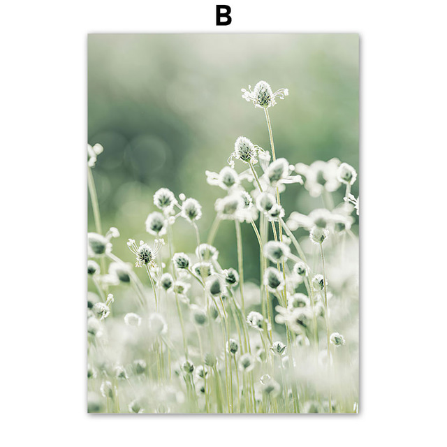 Detail Gambar Bunga Dandelion Gambar Gunung Nomer 48