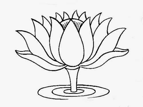Detail Gambar Bunga Dandelion Gambar Sketsa Bunga Batik Nomer 10