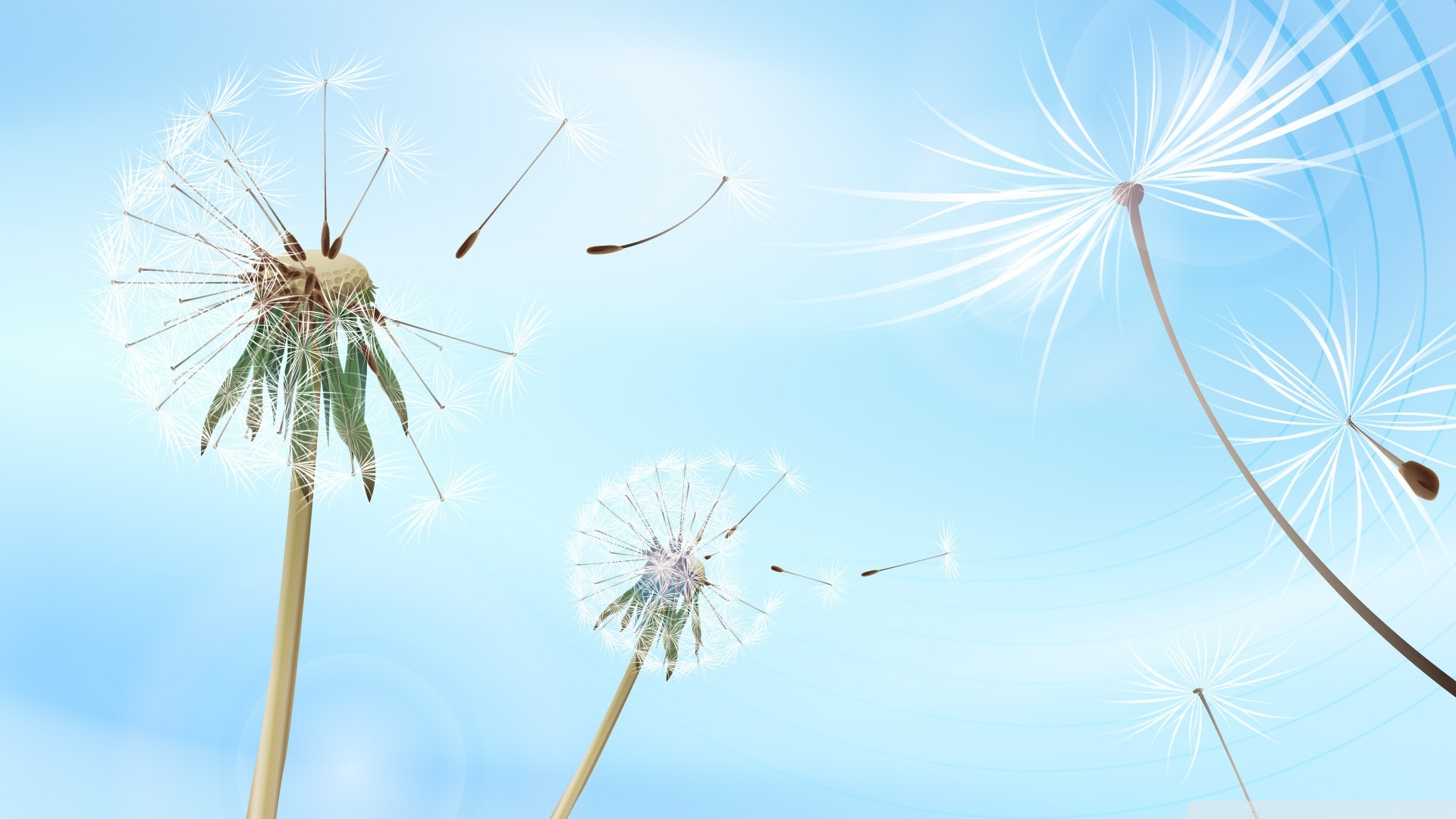 Detail Gambar Bunga Dandelion Tumblr Nomer 33