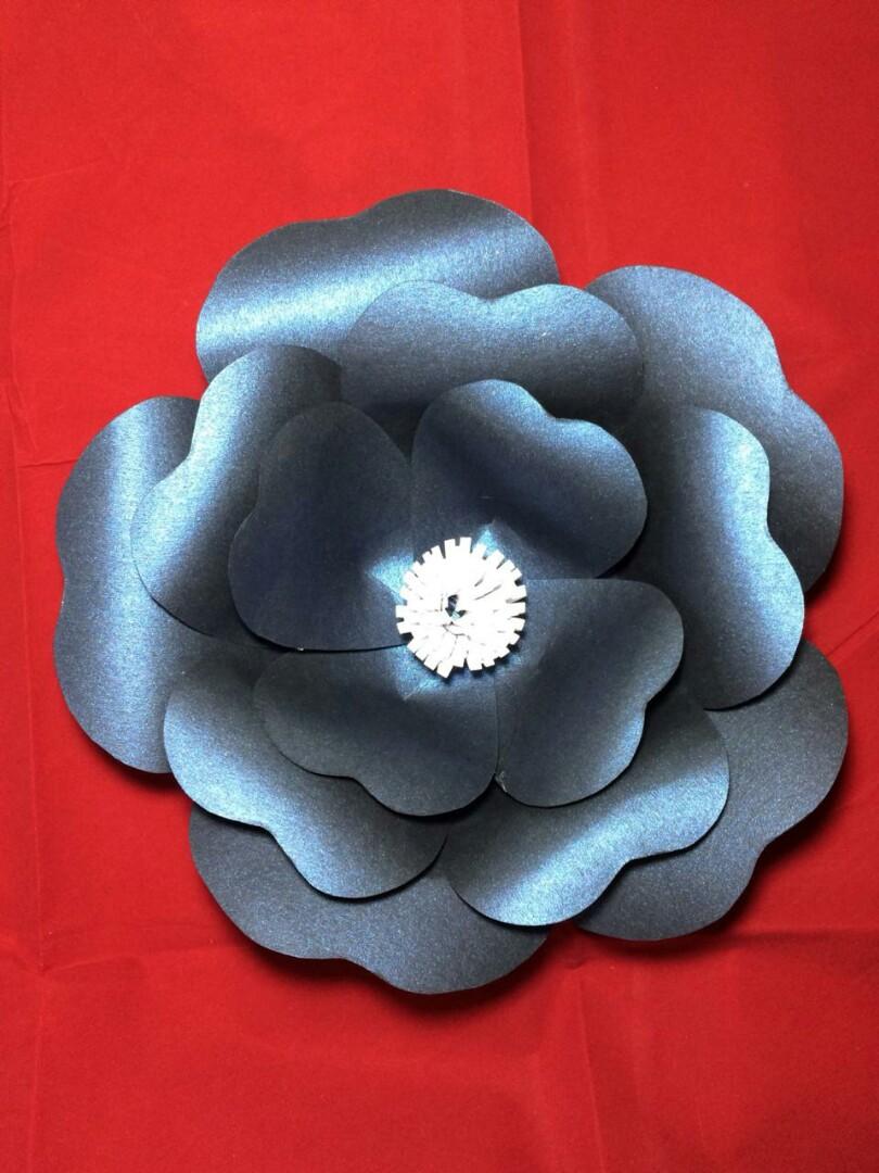Detail Gambar Bunga Dari Kertas Jasmine Nomer 42