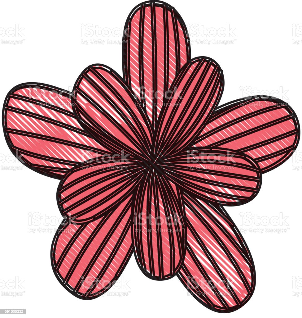 Detail Gambar Bunga Dekoratif Nomer 55