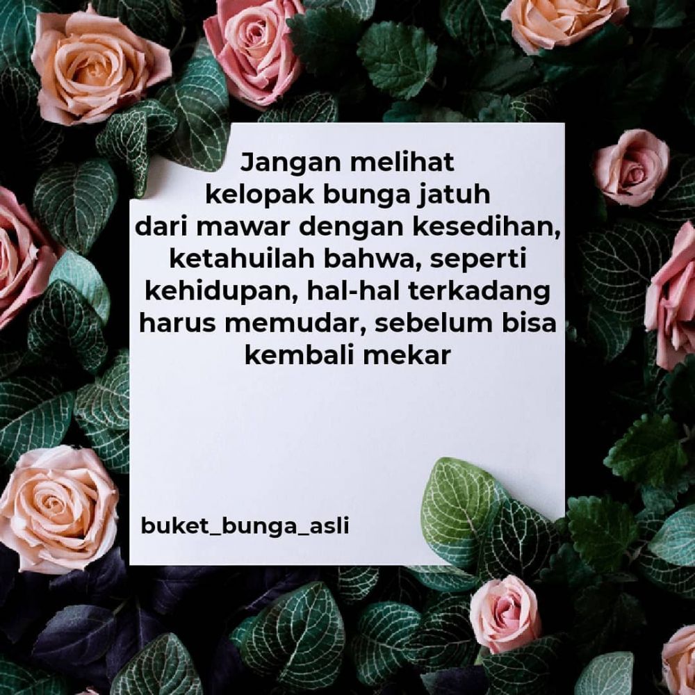 Gambar Bunga Dengan Kata Kata Indah - KibrisPDR