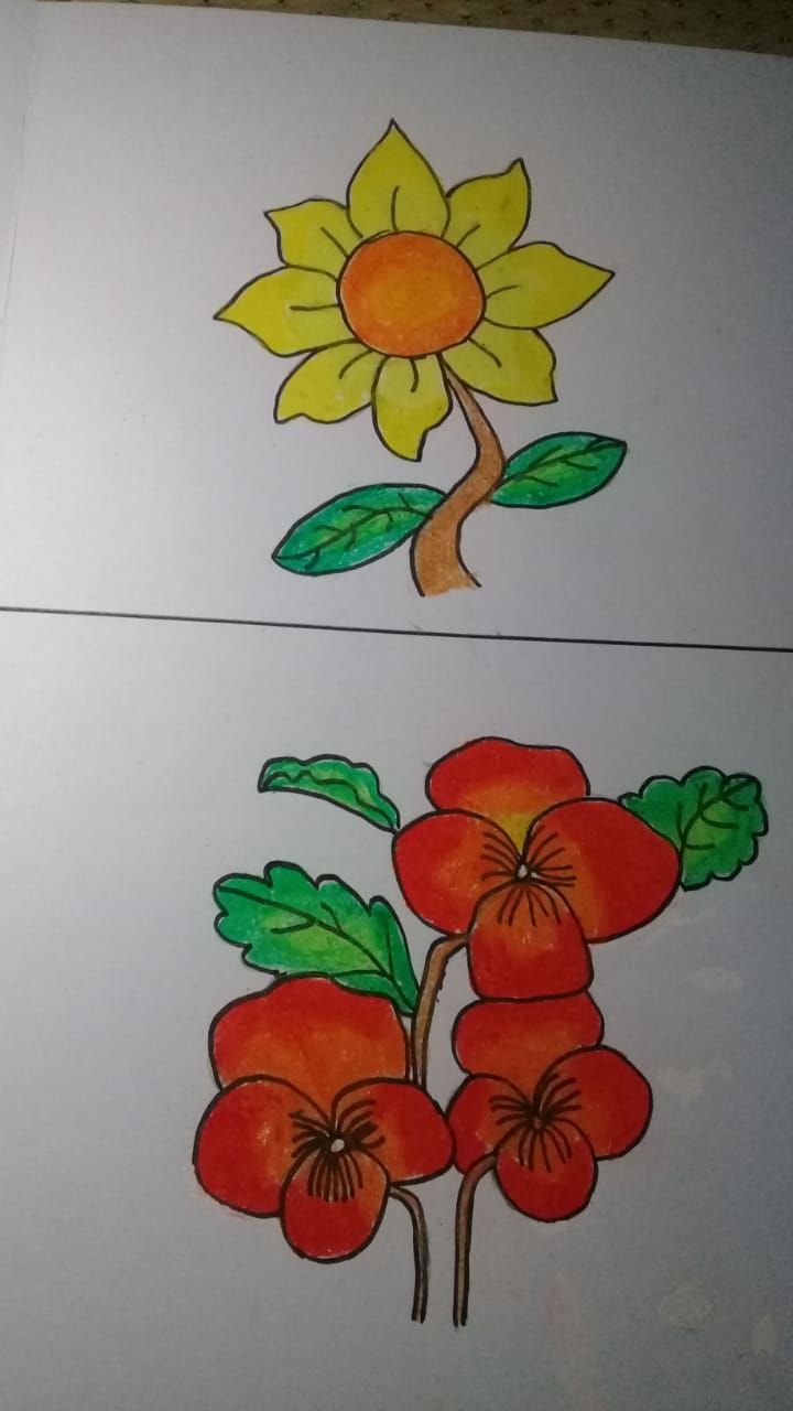 Detail Gambar Bunga Di Kertas A3 Nomer 5
