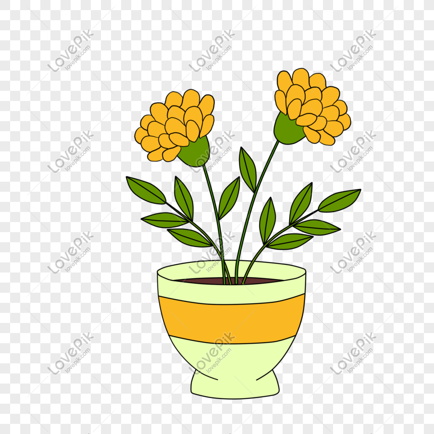 Detail Gambar Bunga Di Pot Yang Mudah Nomer 11