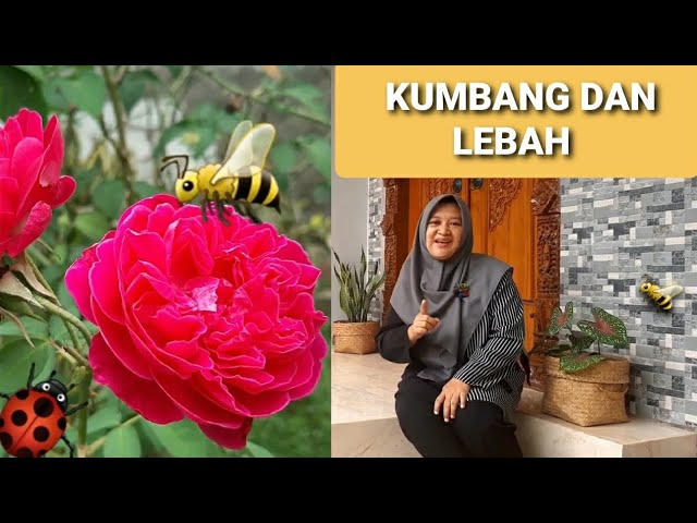 Detail Gambar Bunga Dihisap Kumbang Nomer 40