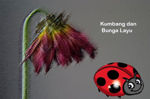 Detail Gambar Bunga Dihisap Kumbang Nomer 9