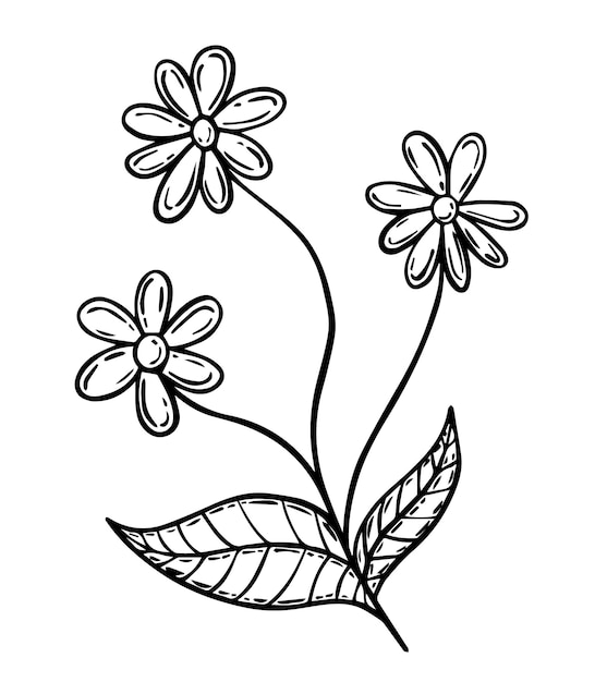 Detail Gambar Bunga Doodle Simple Nomer 46