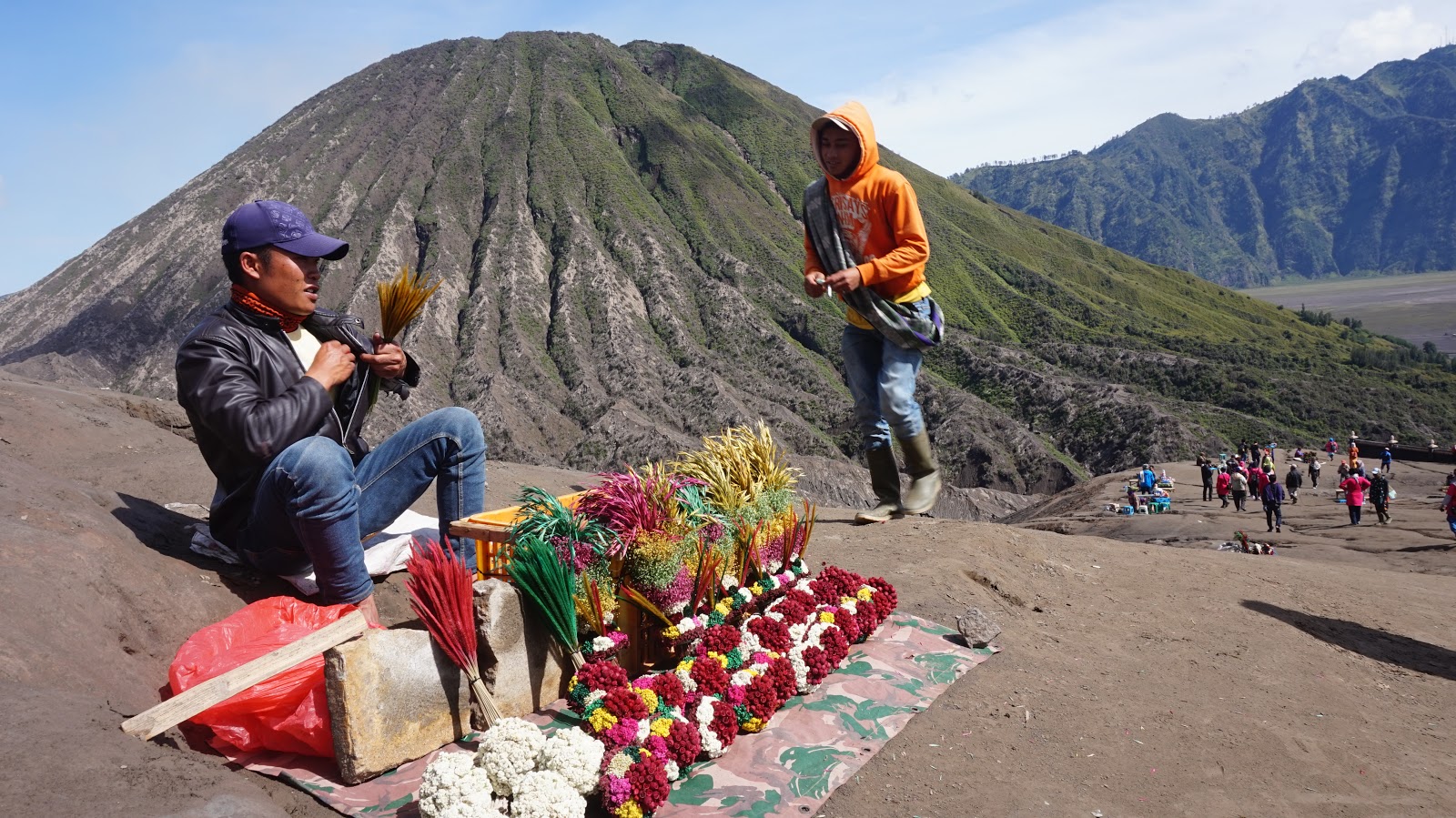 Detail Gambar Bunga Edelweis Anaphalis Javanica Nomer 38