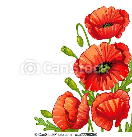 Detail Mohnblume Clipart Nomer 6