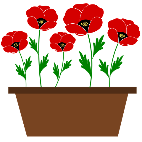 Detail Mohnblume Clipart Nomer 9