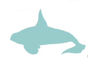 Detail Orca Flosse Nomer 6