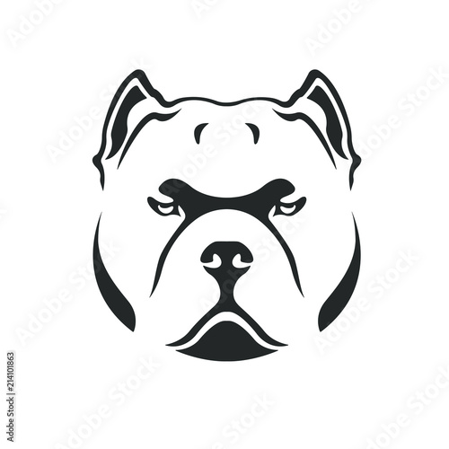 Detail American Bully Preis Nomer 10