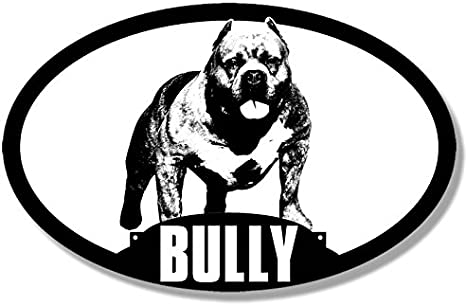 American Bully Preis - KibrisPDR