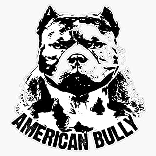 Detail American Bully Preis Nomer 5