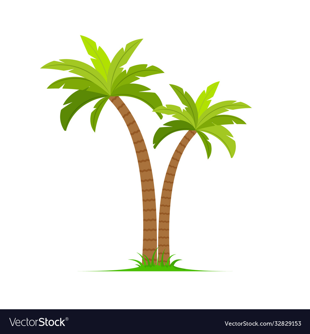 Detail Cartoon Character With Palm Tree Hair Nomer 13