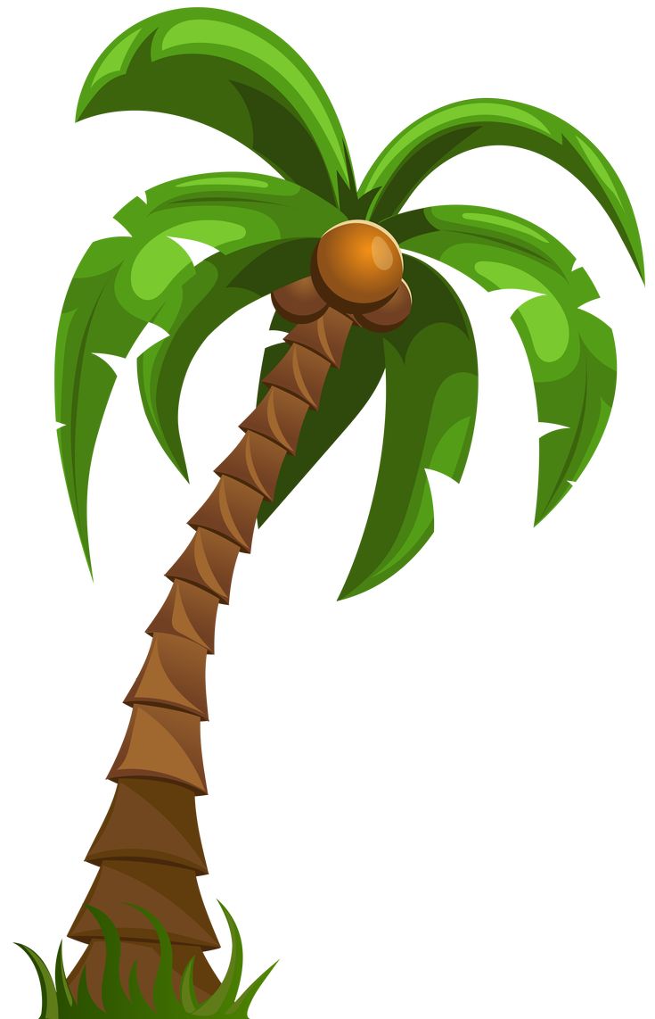 Detail Cartoon Character With Palm Tree Hair Nomer 17
