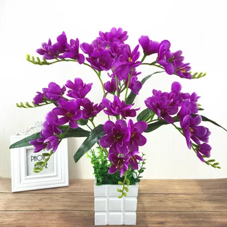 Detail Gambar Bunga Freesia Nomer 33