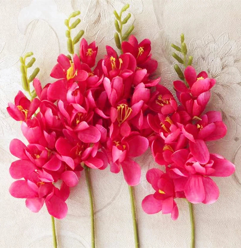 Detail Gambar Bunga Freesia Nomer 38