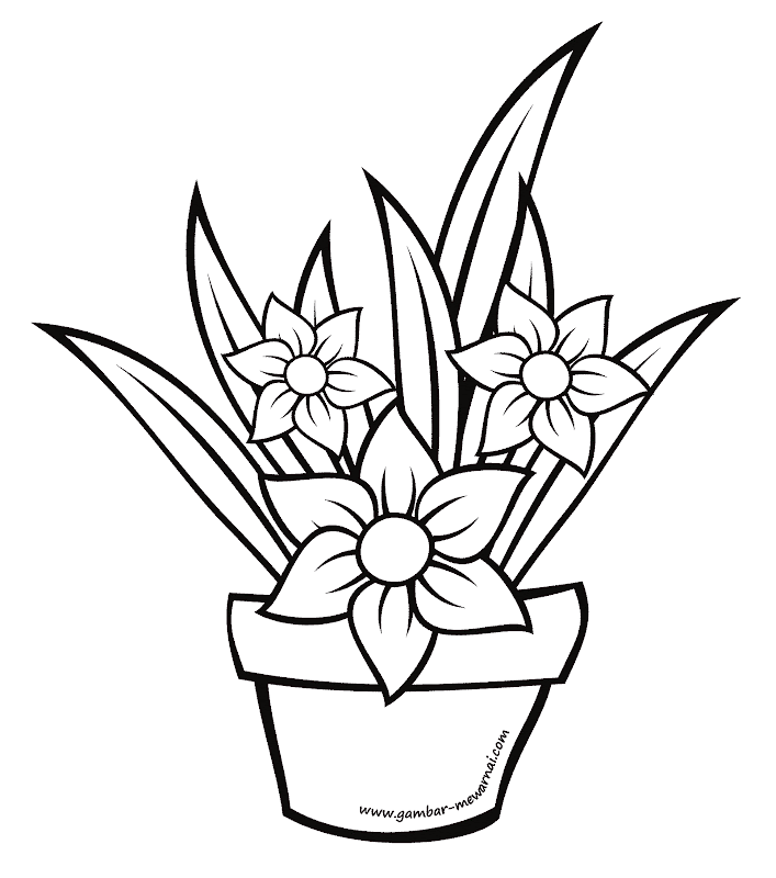 Detail Gambar Bunga Gambar Bunga Nomer 34