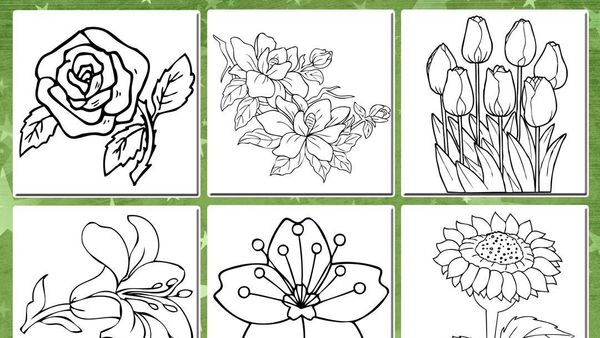 Detail Gambar Bunga Gambar Bunga Nomer 48