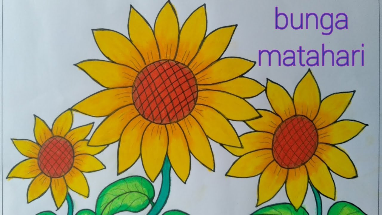 Detail Gambar Bunga Gambar Bunga Nomer 10