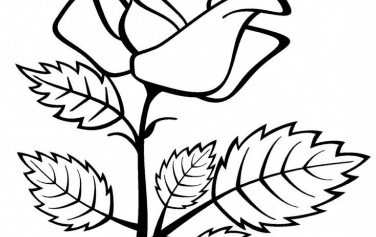 Detail Gambar Bunga Gampang Ditiru Nomer 18