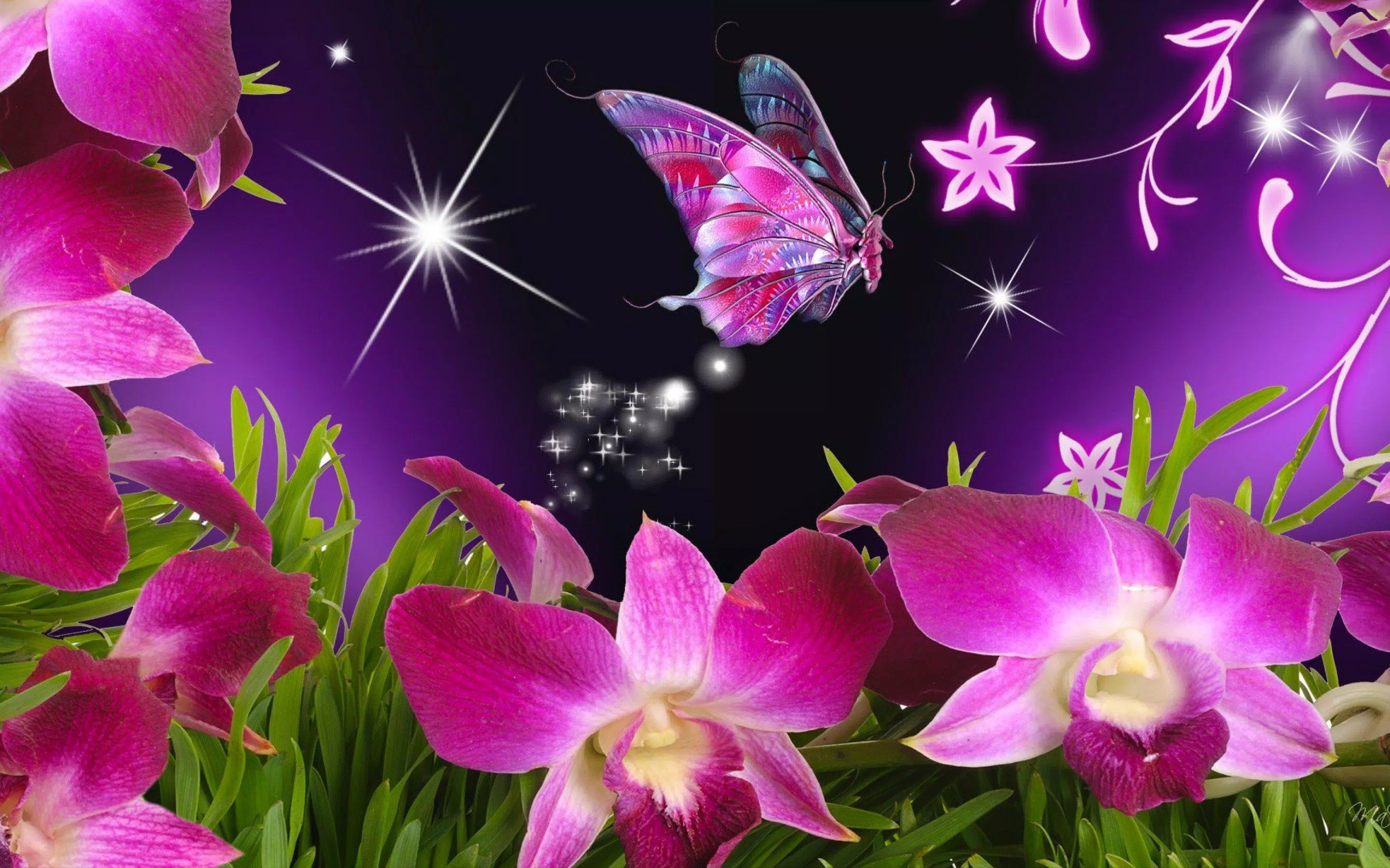 Detail Gambar Bunga Hd Wallpaper Nomer 8