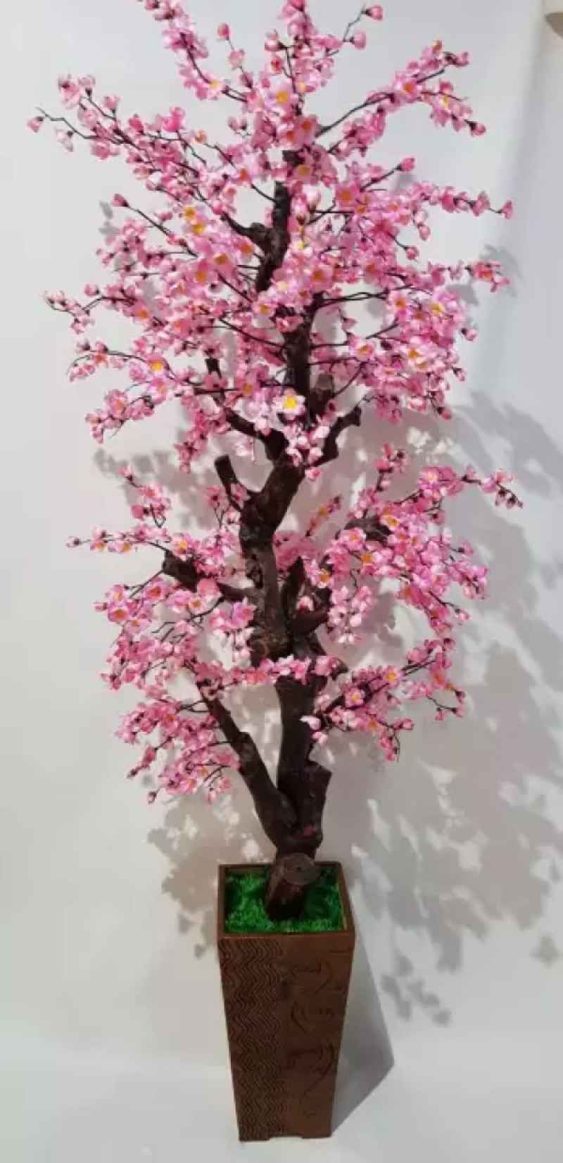 Detail Gambar Bunga Hias Sakura Nomer 12