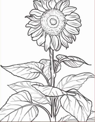Detail Gambar Bunga Hias Sketsa Nomer 3