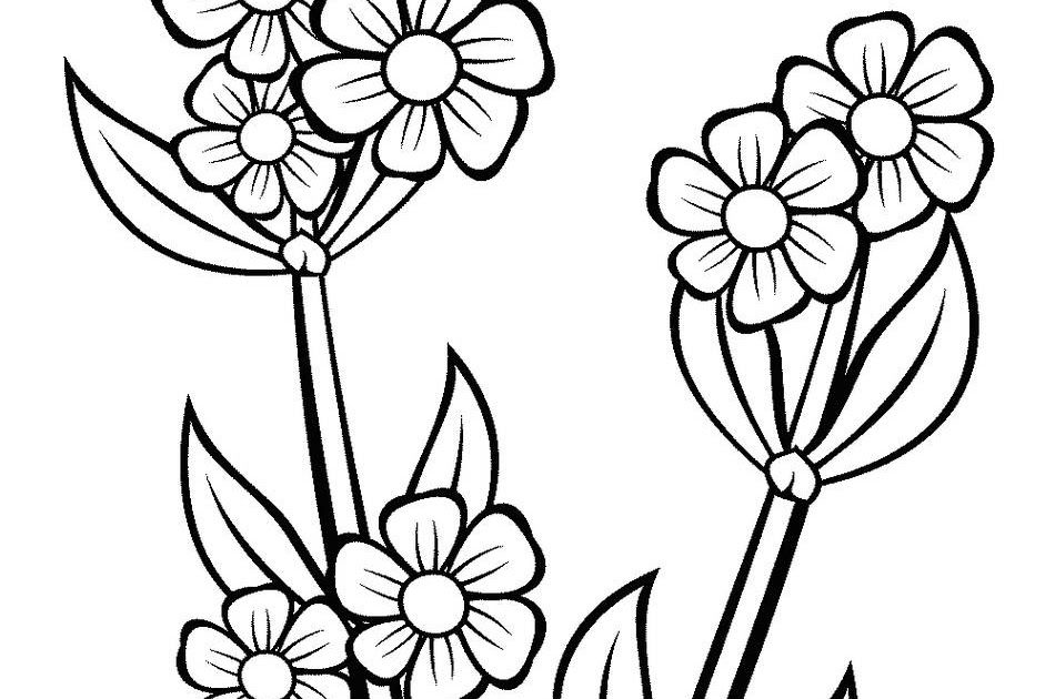 Detail Gambar Bunga Hitam Putih Pensil Nomer 3