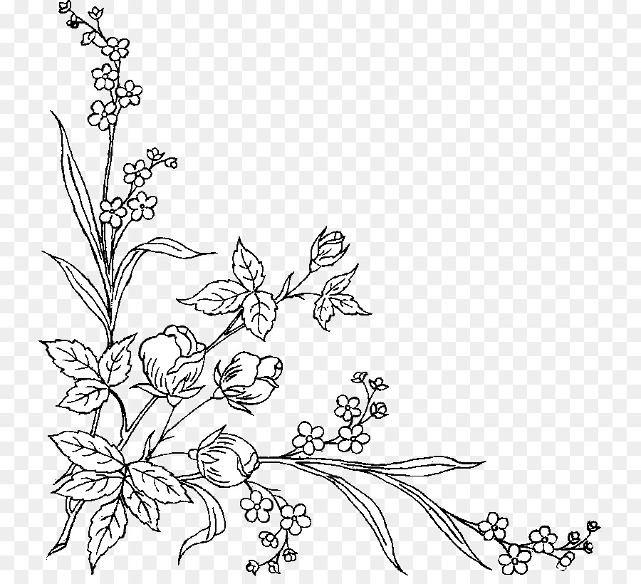 Detail Gambar Bunga Hitam Putih Transparan Nomer 2