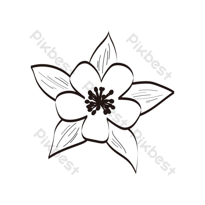 Detail Gambar Bunga Hitam Putih Transparan Nomer 40