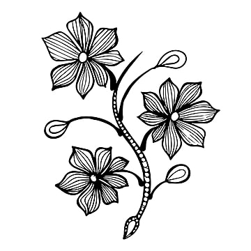 Detail Gambar Bunga Hitam Putih Transparan Nomer 44